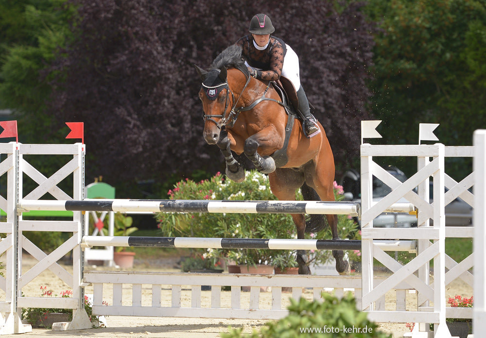 Hallo und herzlich willkommen bei MS Equestrianwear!